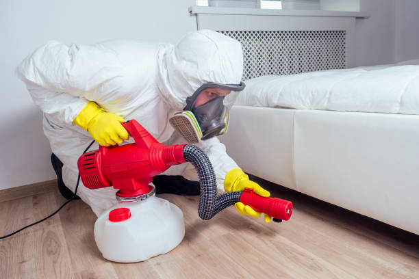 Flea Control Services in Colville, WA