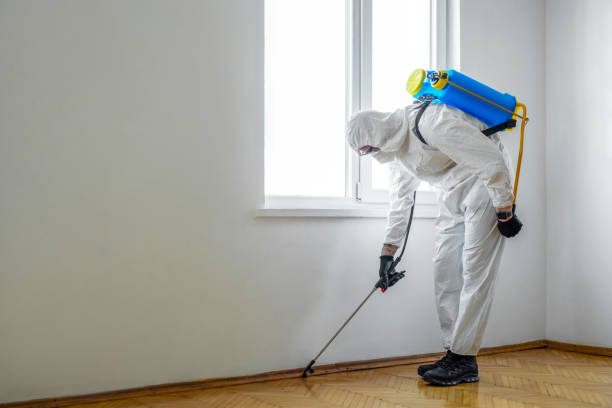 Best Affordable Pest Control Services  in Colville, WA
