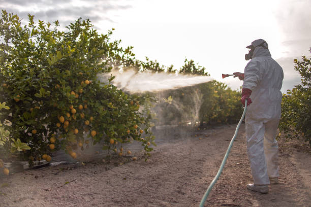 Best Residential Pest Control  in Colville, WA