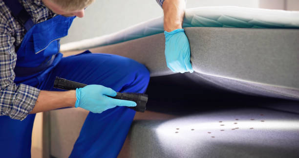 Best Pest Control Near Me  in Colville, WA