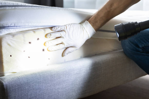 Best Pest Control Treatment  in Colville, WA