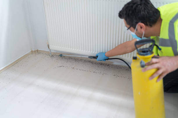 Professional Pest Control in Colville, WA