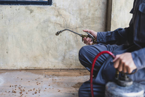 Best Pest Inspection Near Me  in Colville, WA