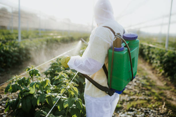 Best Pest Control Near Me  in Colville, WA